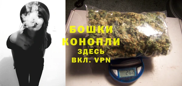 крисы Майский