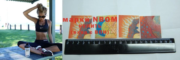 крисы Майский