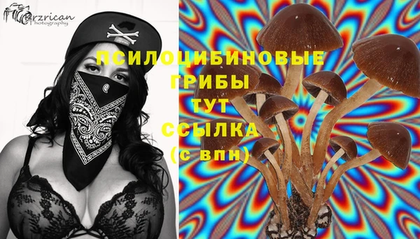 соль курить ск Магадан
