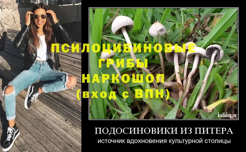 Галлюциногенные грибы MAGIC MUSHROOMS  цены наркотик  Кяхта 